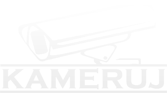 logo kameruj